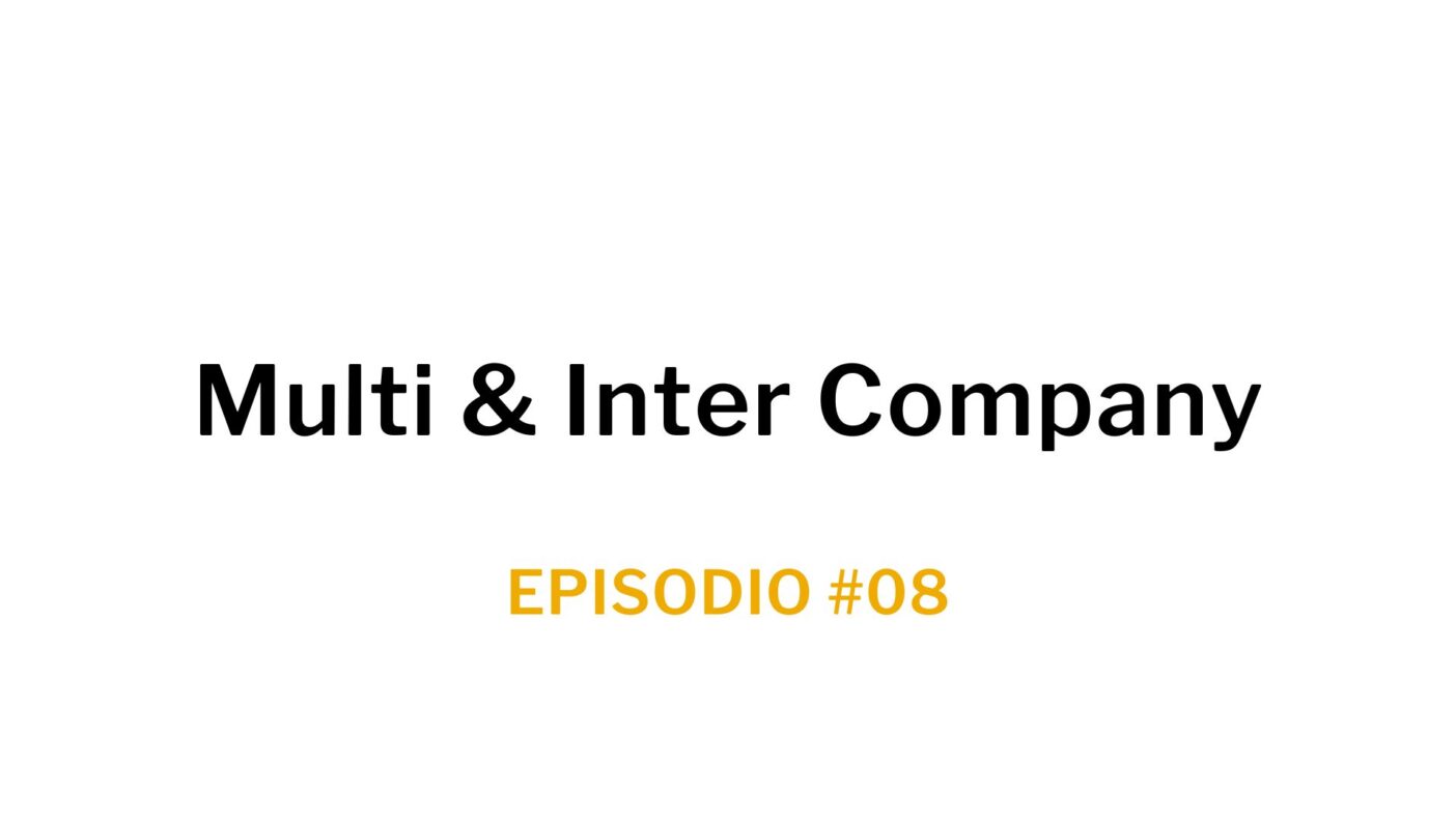 Ep. 08 Multi & Inter Company