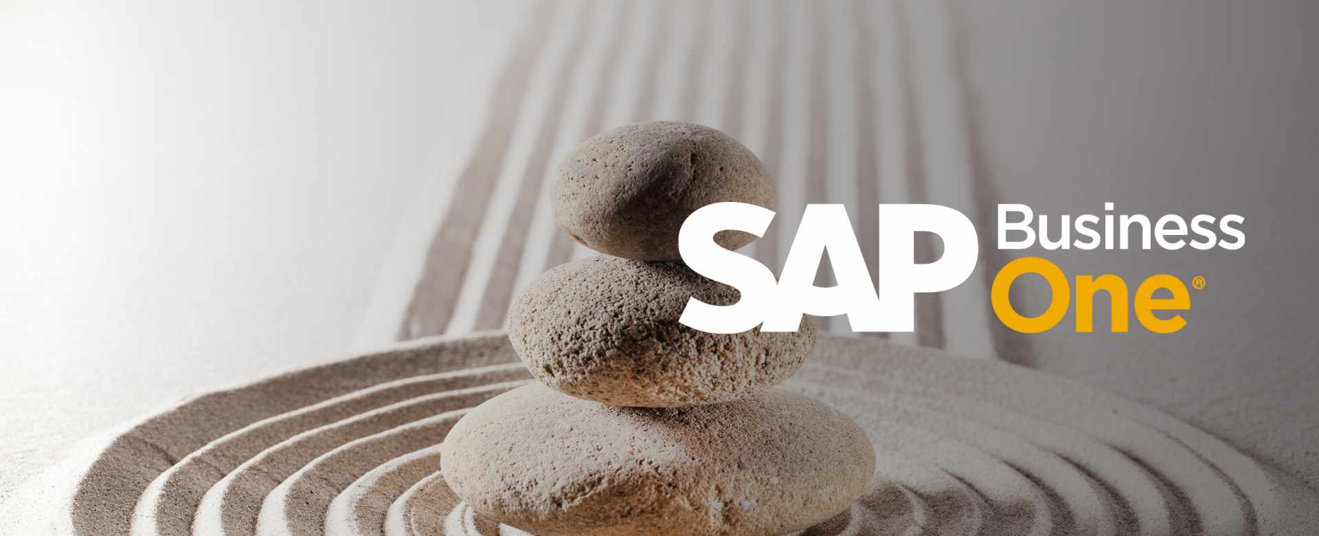 Soluzione SAP® ERP  per piccole e medie imprese di successo